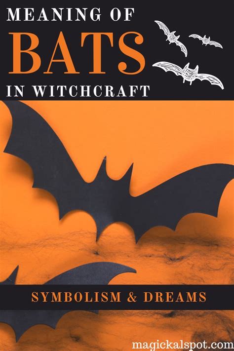 The Rise of Bat Spells: Ancient Traditions in a Modern World
